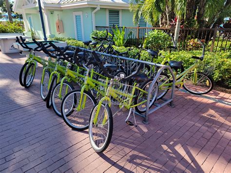 Bike rentals