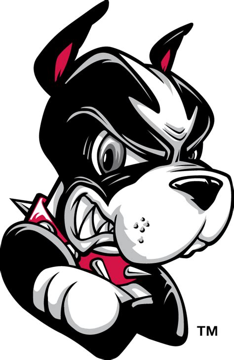 Boston University Terriers Logo