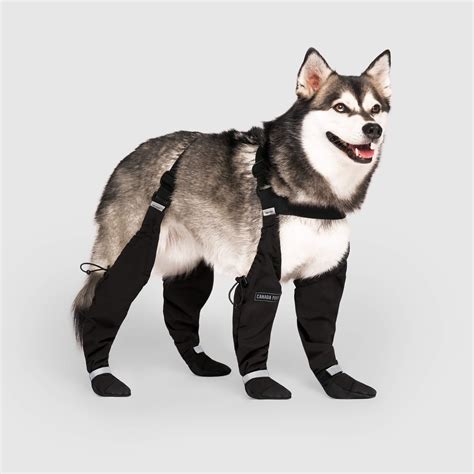 Canada Pooch Dog Boots