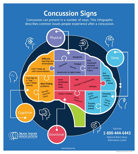 Concussion Infographic