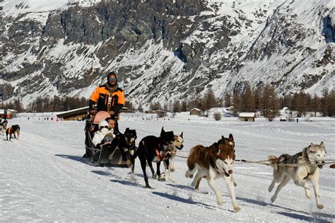 Dog Sledding Tour