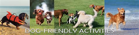 Dog-Friendly Activities