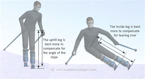 Downhill Ski Leg