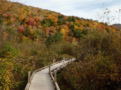 Gifford Woods State Park
