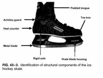 Hockey Skate Anatomy
