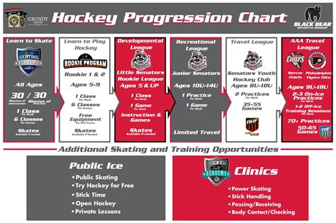 Hockey program