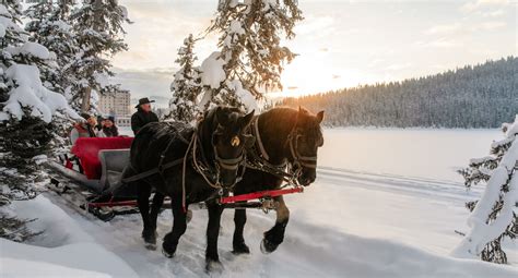 Horse Sleigh Ride