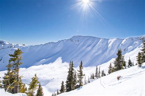 Kicking Horse Ski Resort