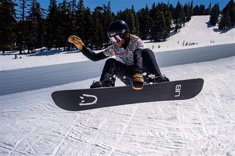 Lib Tech dPr Graphics