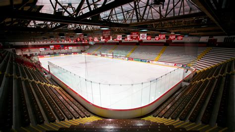 Lynah Rink Interior