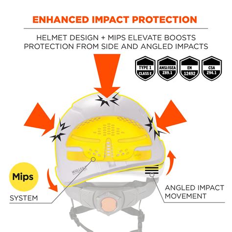 MIPS Technology Diagram