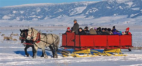 National Elk Refuge Sleigh Rides