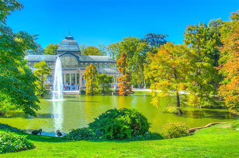 Park & Freestyle Snowboard