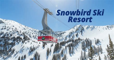 Snowbird Ski Resort