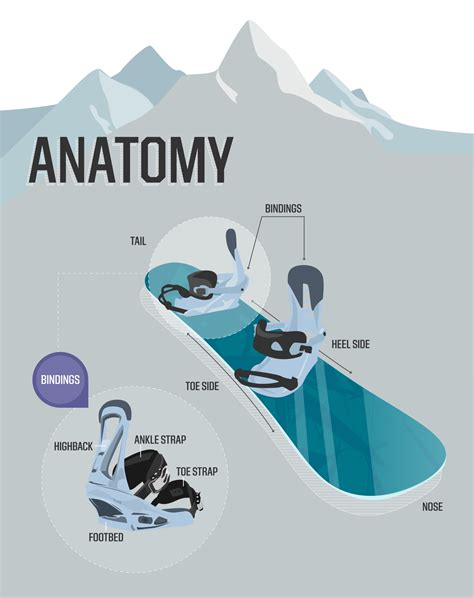 Snowboard Anatomy