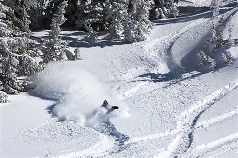 Snowboarder in deep powder