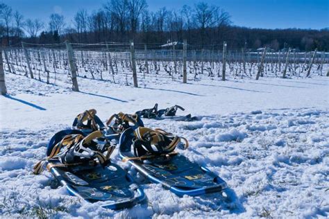 Snowshoeing Wine Tour