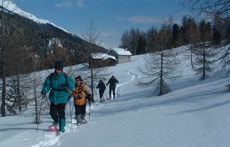 Snowshoeing in Bormio