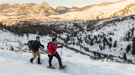 Snowshoeing in Yellowstone