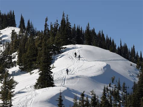 Snowshoers make their way up Hurricane Hill.