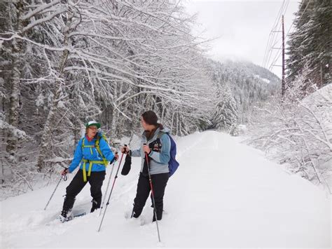 Snowshoers on trail