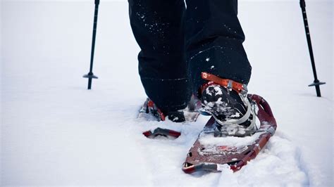 Snowshoes