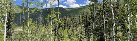 Strawberry Lane Trail Vail Colorado