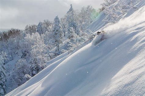 Sushi Powder Snow in Japan