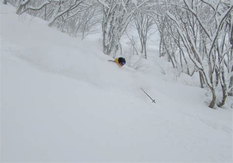 Tree skiing in Hakuba